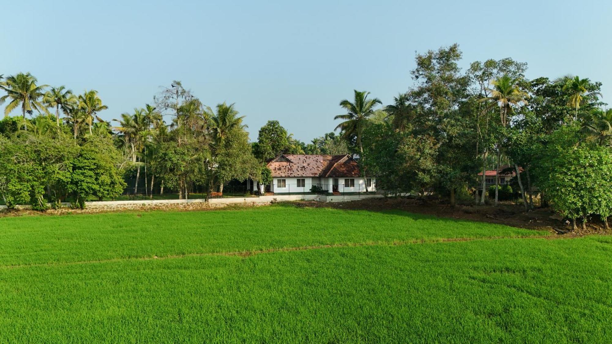 Paadam By The Backwaters Kumarakom Exterior photo